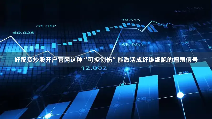 好配资炒股开户官网这种“可控创伤”能激活成纤维细胞的增殖信号