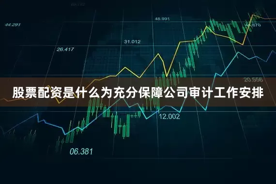 股票配资是什么为充分保障公司审计工作安排