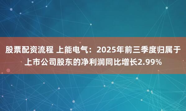 股票配资流程 上能电气：2025年前三季度归属于上市公司股东的净利润同比增长2.99%