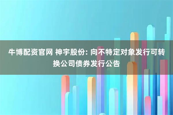 牛博配资官网 神宇股份: 向不特定对象发行可转换公司债券发行公告
